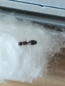 Demande d'identification., 1000126603.jpg