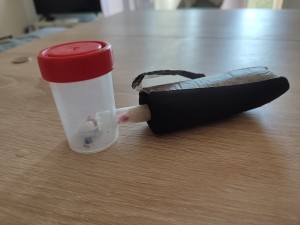 [Blog] Ma 1ère Formica: Formica rufibarbis de Lunderteckel, IMG_20250817_172925.jpg