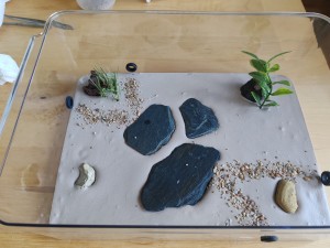 J'ai une furieuse envie de bricolage, mais..., IMG_20250826_103250.jpg