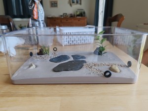 J'ai une furieuse envie de bricolage, mais..., IMG_20250826_103256.jpg