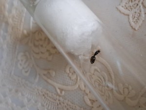 , 20250905_081714.jpg