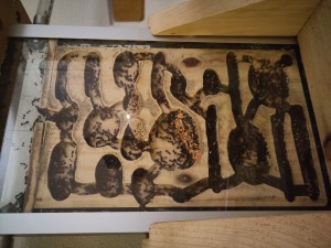 [BLOG] Messor barbarus de Bouboulou, IMG_20250911_234208.jpg