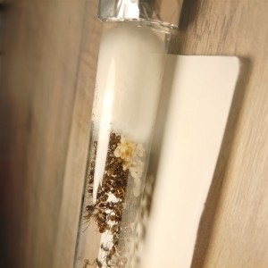 [BLOG]Les C.nicobarensis de Gigantiosp 59, IMG_20250915_195953.jpg