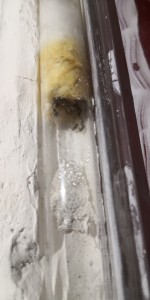 Conditions pour changer de tube, IMG_20250915_195925.jpg