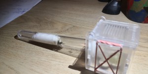 Conditions pour changer de tube, IMG_20250915_214117.jpg