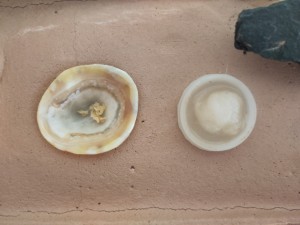 Miam !, [BLOG] Formica sp. de Bouboulou