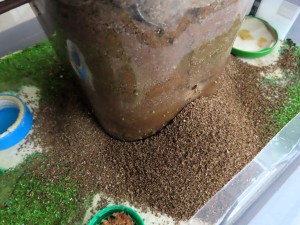 Terre à aspirer., L'aspirateur de l'I-D-É-MYR.