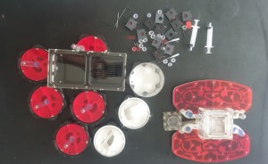 A assembler..., Encore un nouveau nid pour mes Messor barbarus