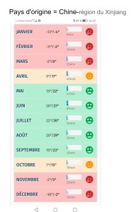 [Q/R] Colonie cannibale Camponotus fedtschenkoi de Lunderteckel, Screenshot_20251008_190647.jpg