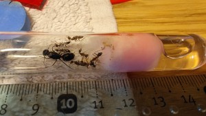 30 août 2024 : 10 environ, 