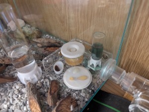 , PXL_20251021_161553708.jpg