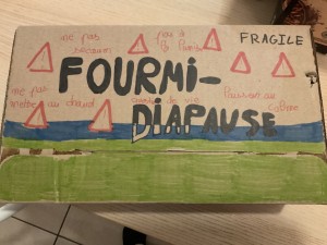 Boîte diapause, Diapause dans abri de jardin