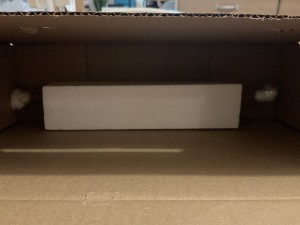 Intérieur, Diapause dans abri de jardin