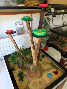 Ajout d'un arbre <br />dans cette ADC., Mon nid vertical en bois