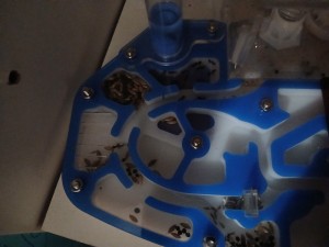 [BLOG] Les Secondes Messor barbarus de KaillouDesBois et leur reine: Mirsha !, 20260207_110842.jpg