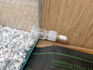 Longueur de tuyau minimale, [Blog] Camponotus barbaricus de Mimiti