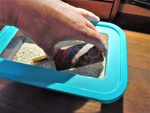 qu'on saisit comme ceci..., Un tube dans une boîte en plastique