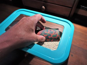 ou comme cela pour <br />surveiller les fourmis., Un tube dans une boîte en plastique