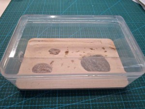 Un tube dans une boîte en plastique, 1000021301.jpg