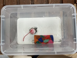 Aire de chasse, Un tube dans une boîte en plastique