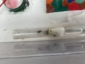 Reine ? Qui se déplace ?, Un tube dans une boîte en plastique