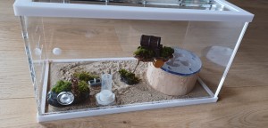 Photo 2 : vue de derrière, L'aire de chasse de ugNuma