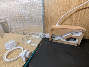 L'installation complète, [Blog] Camponotus barbaricus de Mimiti