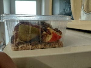 [Blog] Gynger, reine des Lasius niger d'Amandine, ef3591da-c45d-45b4-840b-636705393afb.jpg