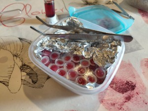 [Blog] Gynger, reine des Lasius niger d'Amandine, 7a8a4b93-6a39-4e1b-9109-cb94b8f1fc95.jpg