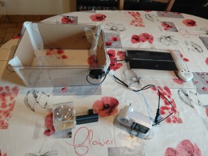 [Blog] Gynger, reine des Lasius niger d'Amandine, bf3ef875-8e81-44d5-a4b0-709485d90166.jpg