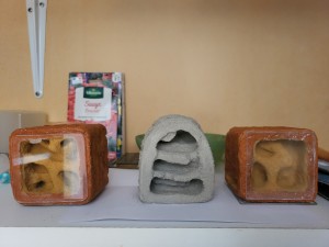 Suivi de mes colonies, 1000026436.jpg