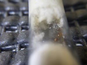 Suivi de mes colonies, 1000026460.jpg