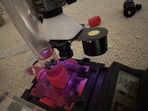 "Fourmiphone", ou babyphone pour fourmis, IMG_1092.jpeg