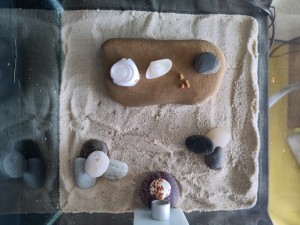 [BLOG] Camponotus sanctus de Bouboulou, IMG_20260308_180135.jpg