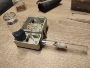 [Blog] Ma 1ère Formica: Formica rufibarbis de Lunderteckel, IMG_20260309_185706.jpg