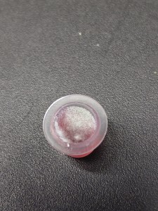 [Blog] Gynger, reine des Lasius niger d'Amandine, 2b5061da-c9e7-4fa1-a713-5ca6c9dd7e6f.jpg