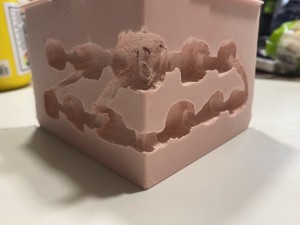 [Blog] Meranoplus bicolor de Lorette, IMG_2871.jpeg