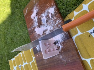 [Blog] Meranoplus bicolor de Lorette, IMG_2875.jpeg