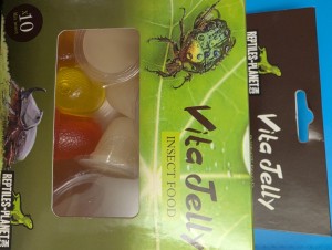 Gelée en animalerie, PXL_20260324_212546156.jpg