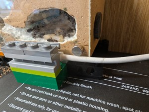 La sonde, [Blog] Camponotus barbaricus de Mimiti