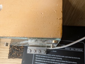 La sonde, [Blog] Camponotus barbaricus de Mimiti