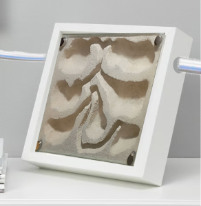 Photomontage nid BC dans cadre, J'ai une furieuse envie de bricolage, mais...