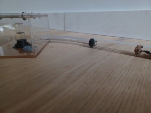 [Blog] Les Camponotus ligniperda et sa reine Loona de ugNuma, f83cbe59-1453-41df-af1f-f7565d6fad72.jpg