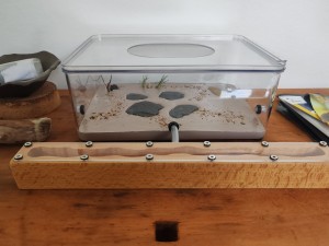 J'ai une furieuse envie de bricolage, mais..., IMG_20260403_101338.jpg