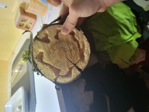 Suivi de mes colonies, 20260414_170801.jpg