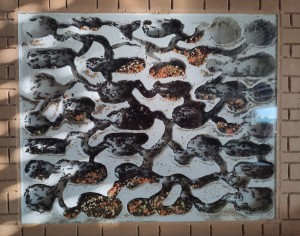 [BLOG] Messor barbarus de Bouboulou, IMG_20260415_185814.jpg