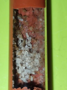 Le milieu du 2eme tube, son tas de cocons et sa condensation..., [Blog] La petite aventure de la colonie de Lasius flavus de Salem