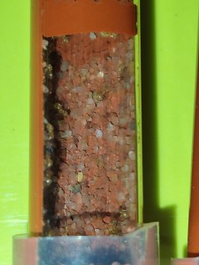 L'entrée du 2eme tube, [Blog] La petite aventure de la colonie de Lasius flavus de Salem