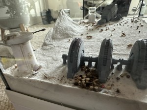 ADC façon "Hoth", IMG_1325.jpeg