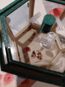 [Blog] Gynger, reine des Lasius niger d'Amandine, 95eaf2eb-782e-4f58-84e9-c93624dd871c.jpg